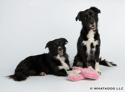 (l-r): Cole and Toula 